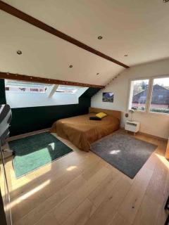 Cozy 3-star house between mountains & lake - Menthon-Saint-Bernard - 3