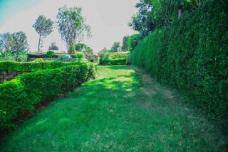 Pottersville Gardens - - 0