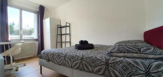 Appartement calme 3 chambres avec lit double Wifi - Parking facile - Vandoeuvre-lès-Nancy - 5