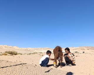 Ahmad and Fatima's Traditional Bedouin Camp - Al Ḩumaymah al Jadīdah - 9