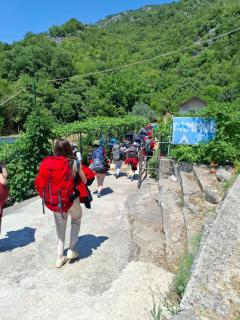 Auto camp Radoman - Virpazar - 7