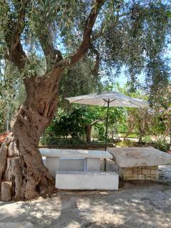 La Casa Del Nonno - Ischitella - 3