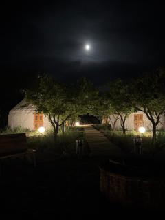 BarBulak Yurt Lodge - Bar-Bulak - 0