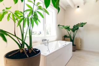 La Bali, Luxe et relaxation - La Ferté-Gaucher - 6