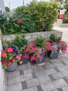 Guesthouse Anton - Novalja - 7