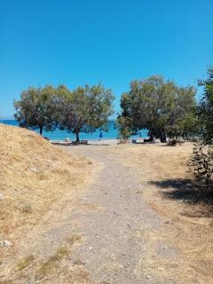 Ippokampos - Moutsouna Naxos - 2