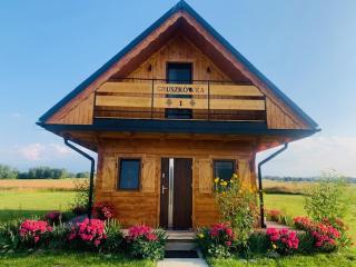 Gruszkowka Domek Letniskowy - Gronków - 6
