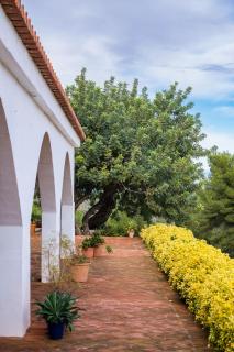 El mirador de la Sonora - Artana - 1