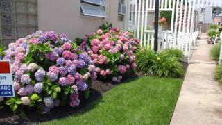 Cozy Two Bedroom Condo Weekly Saturday to Saturday - Wildwood Crest - 7