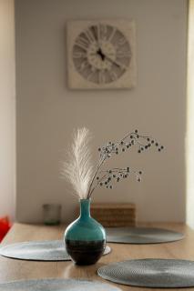 Silver Apartments near Airport and Iulius Mall - 6