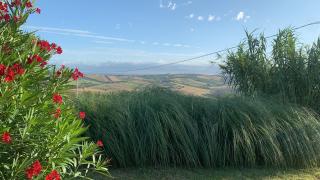 Casa Monte Bugaro - San Costanzo - 2
