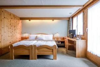 Hotel Alpfrieden - Bettmeralp - 1