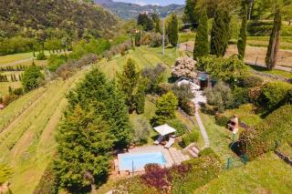 Casa Vinaria Lucca-Tuscany private pool new2024, exclusive use - San Martino in Freddana - 2