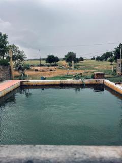 Farm stay in Jaisalmer home 4 friends - Jaisalmer - 4