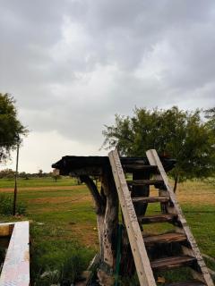 Farm stay in Jaisalmer home 4 friends - Jaisalmer - 0