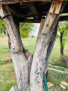 Farm stay in Jaisalmer home 4 friends - Jaisalmer - 3