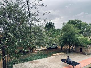 Farm stay in Jaisalmer home 4 friends - Jaisalmer - 2