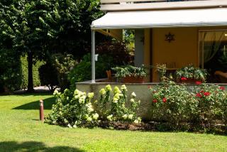 Villa Verde a Forte dei Marmi - 3