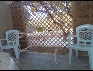 Monika's little house hidden in the mastic trees - Chio (Chios) - 2