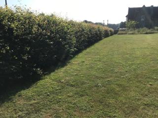 Allington Lock Campsite - Allington - 3