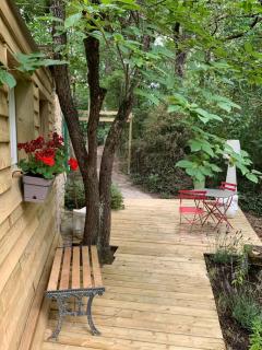 Maison d hotes GreenHouse - Albi - 7