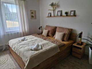 Apartmán Mour - Rejštejn - 0