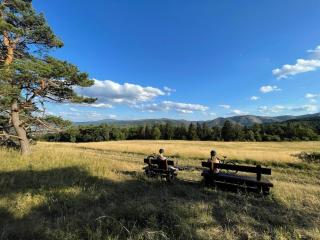 Bergrauschen-Waldbude in Goslar-Okertal im Harz inkl Wäsche - 1