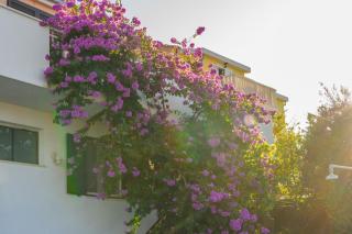 Apartment Miranda with terrace and BBQ by the sea - Razvala - 2