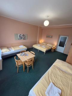 Hotel Koruna - 9