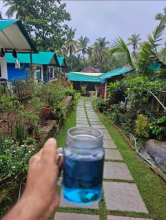 Bhakti Yoga Retreats - Agonda - 6