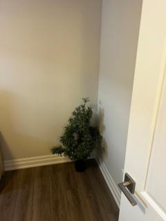 Very nice unit in Port Elgin Basement Unit - Port Elgin - 1