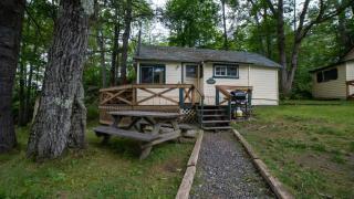 2-Bedroom Cottage #4 - Monterey Pine - Gravenhurst - 0