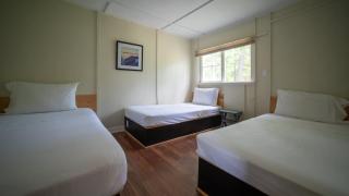 2-Bedroom Cottage #2 - Shortleaf Pine - Gravenhurst - 8
