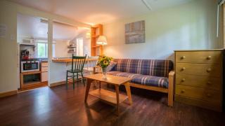 1-Bedroom Cottage #1 - White Pine - Gravenhurst - 0