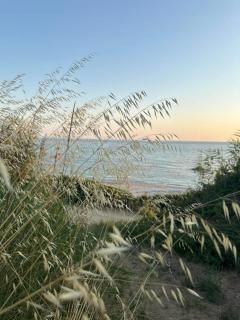 Olive House Seaside - Riza - 8