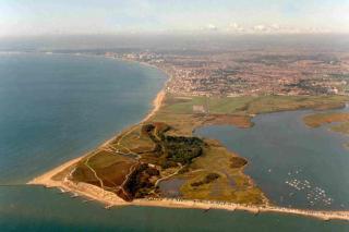 The Fox Den - Southbourne - 2