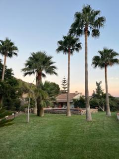 Casita Jaleo - Motril - 9