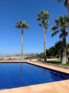 Casita Jaleo - Motril - 3