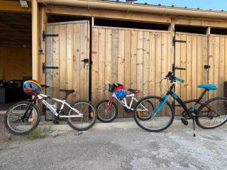 Logis proche Gerardmer avec spa - - 7