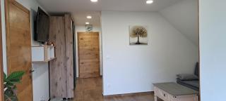 Apartmaji Božiček - Podcetrtek - 9