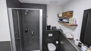 Stilvolle Citywohnung direkt in der Würzburger Altstadt - Würzburg - 7