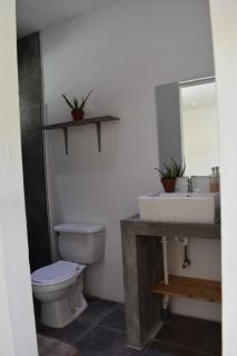 Deluxe Studio - Oranjestad - 9