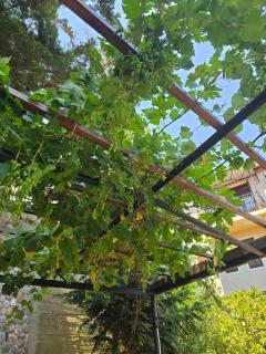 Αρχοντικό Βιζυηνού - 3