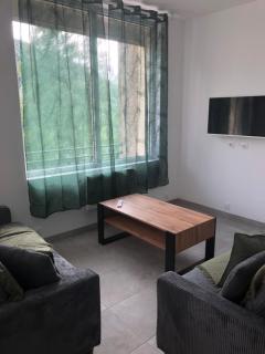 appt 8 pers tout confort 4 - Laveissière - 1