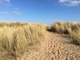 Miles by the Sea - Luxury coastal cottage with private beach access - Chapel Saint Leonards - 9