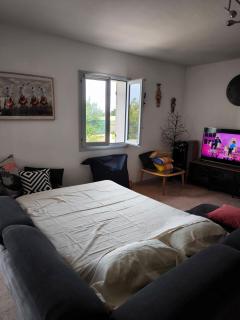 Sud Bastia 50 m2 privé avec jacuzzi et piscine - Monte - 1