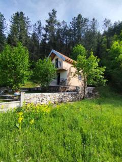 Cottage in nature of Cetinje - 0