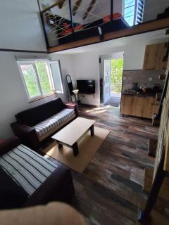 Cottage in nature of Cetinje - 5