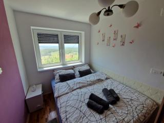 Vineyard Cottage with Private Jacuzzi - Metlika - 5