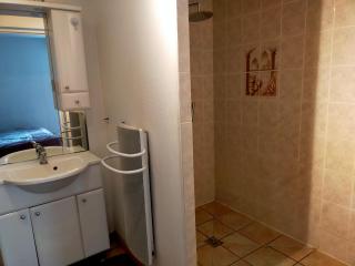 Gite du Prieure - Vaux-sur-Vienne - 5